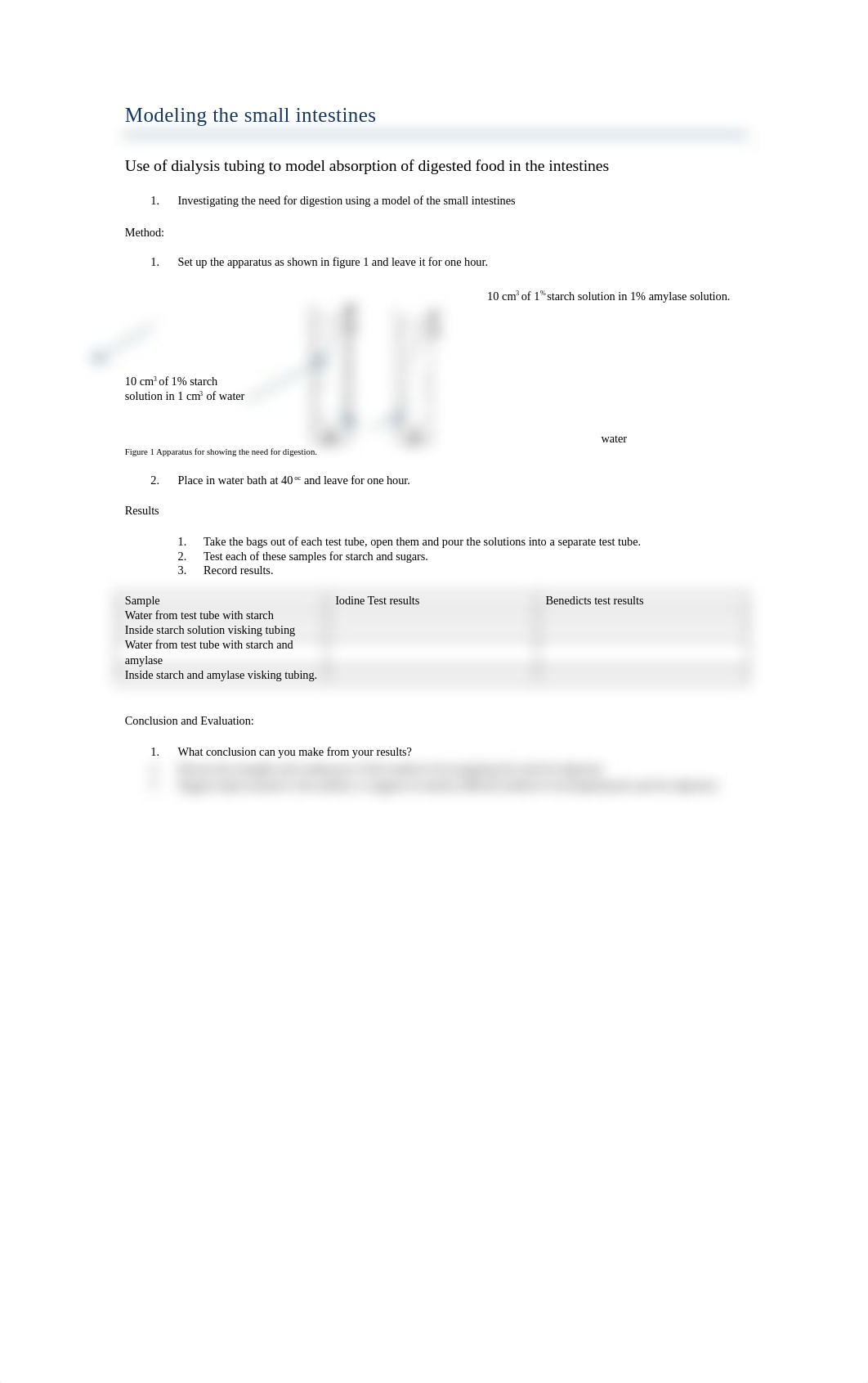 Copy of Modeling the small intestines.docx_da4fqi0awsq_page1