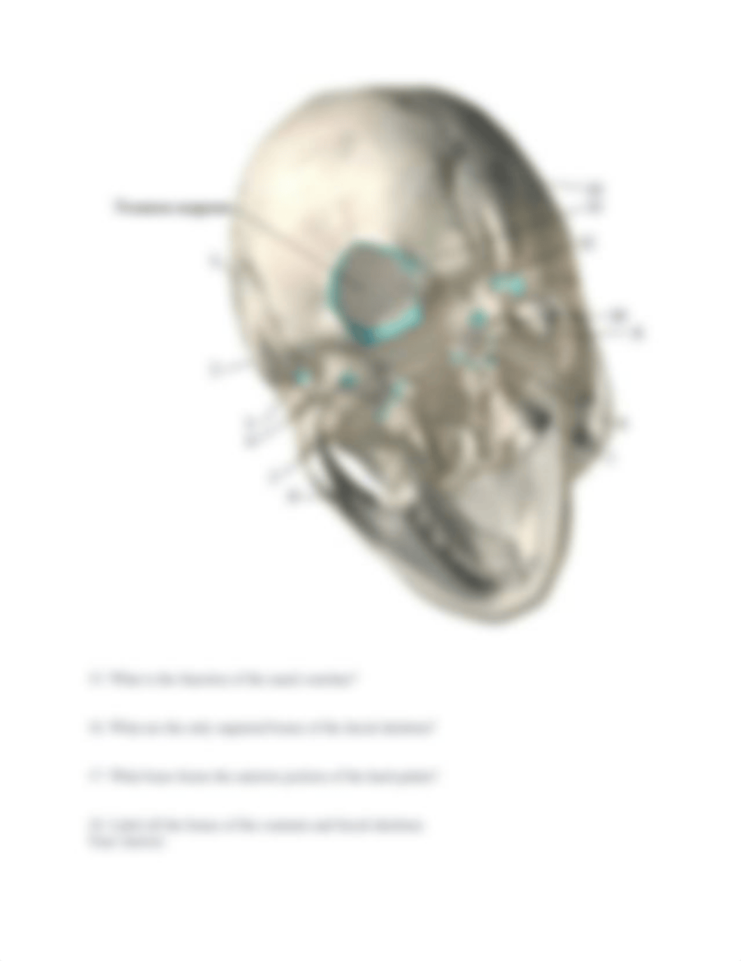 Module 4 Problem Set.docx_da4i62p17dr_page4