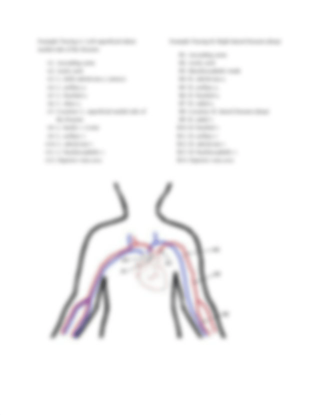 Blood Tracing Project Assignment (1).docx_da4ivvw0vrl_page2