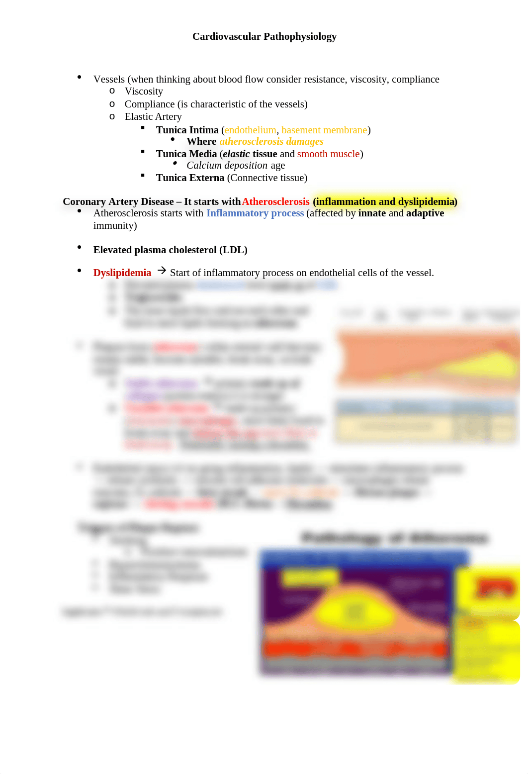 Cardiovascular Pathophysiology .docx_da50nv6g8fo_page2