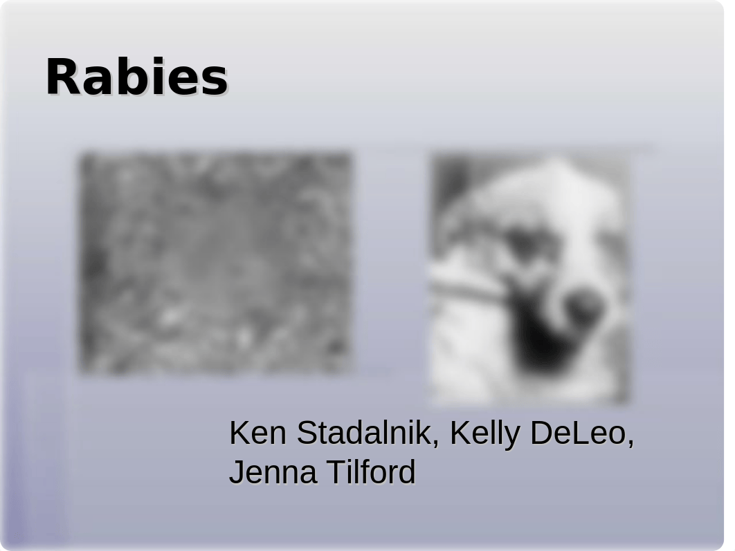 Rabies.ppt_da57ln24jr0_page1