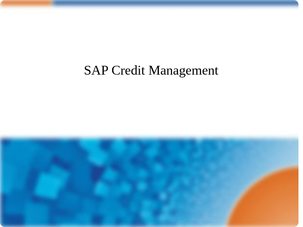 sap_credit_management_overview.pdf_da5adaa6ngl_page3