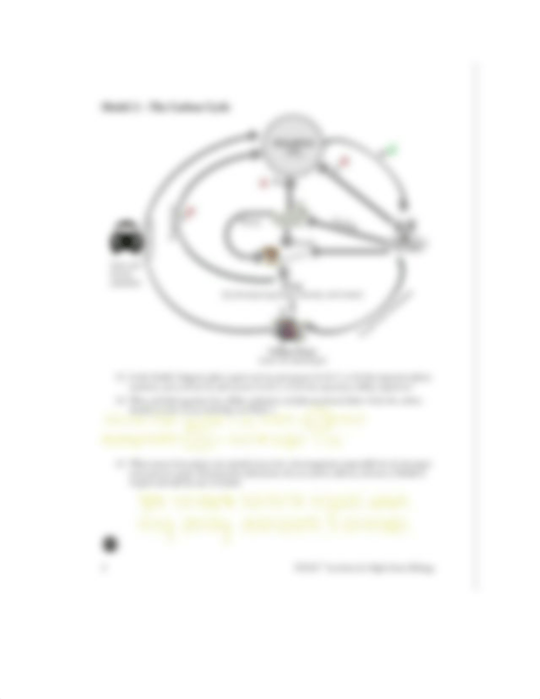 EAnderson 14 Photosynthesis .docx_da5hid773hg_page4