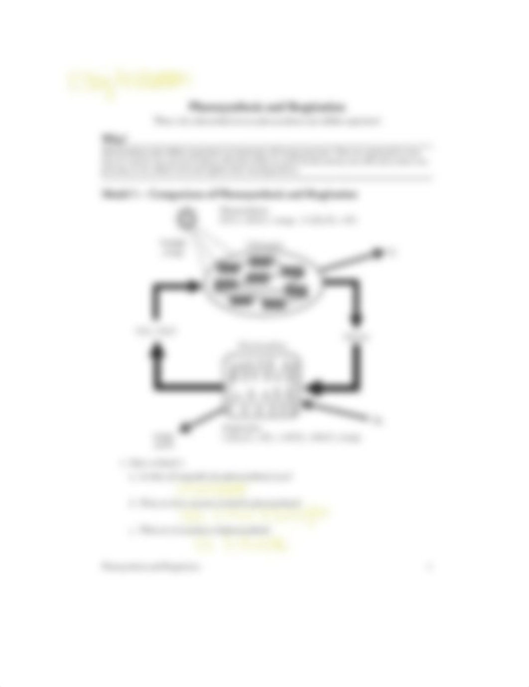 EAnderson 14 Photosynthesis .docx_da5hid773hg_page1