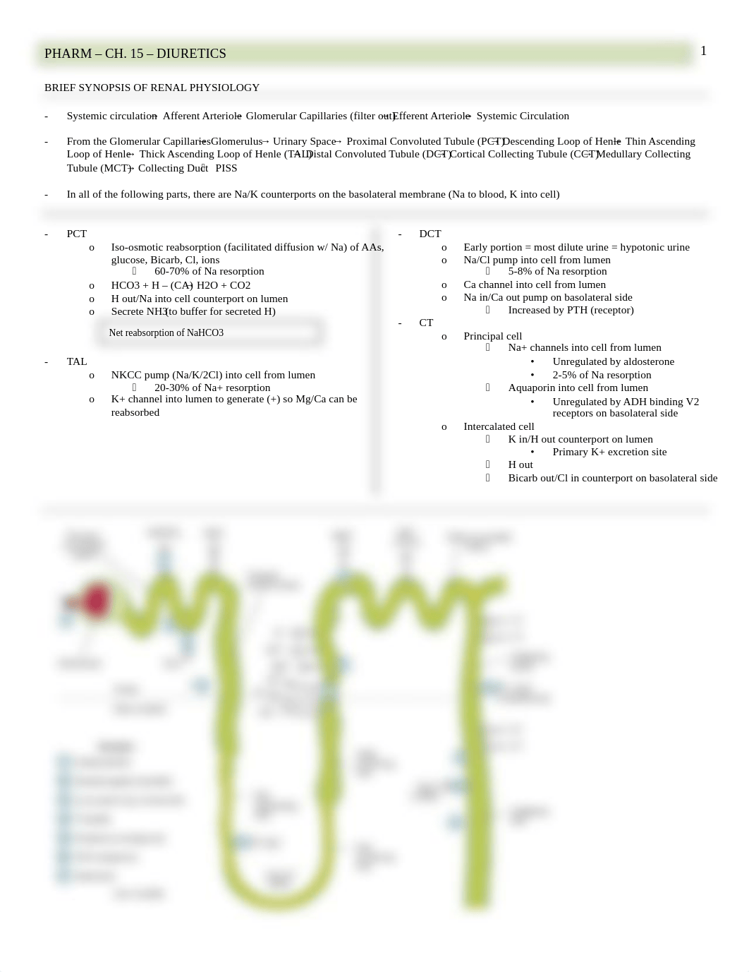 Pharm - 15 - Diuretics - BL_da5kgyqp0y2_page1