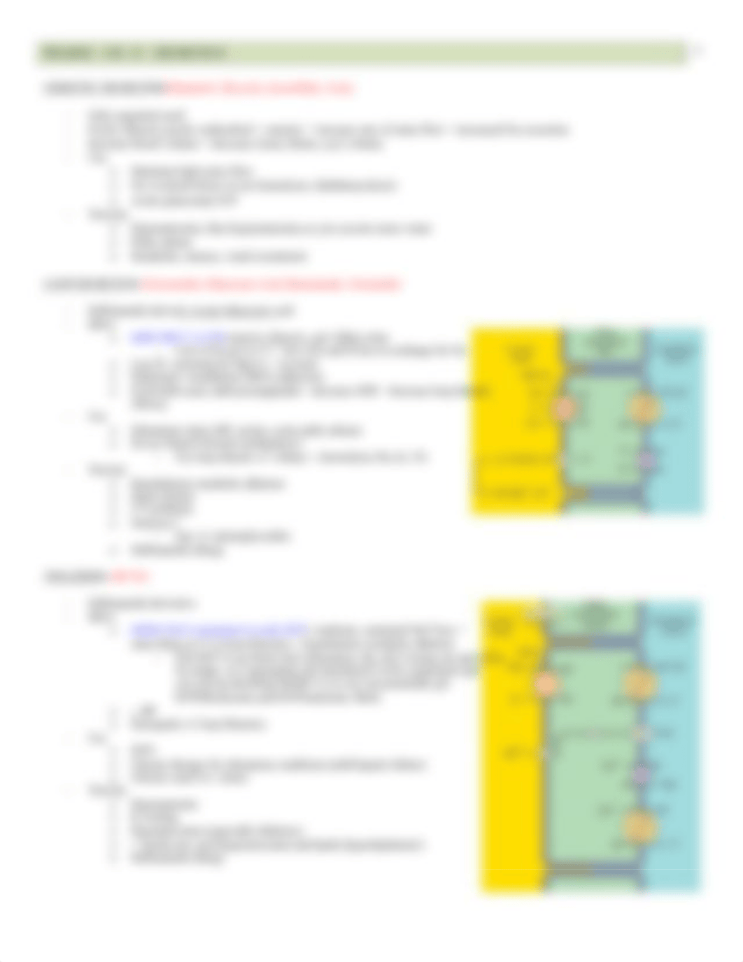 Pharm - 15 - Diuretics - BL_da5kgyqp0y2_page3