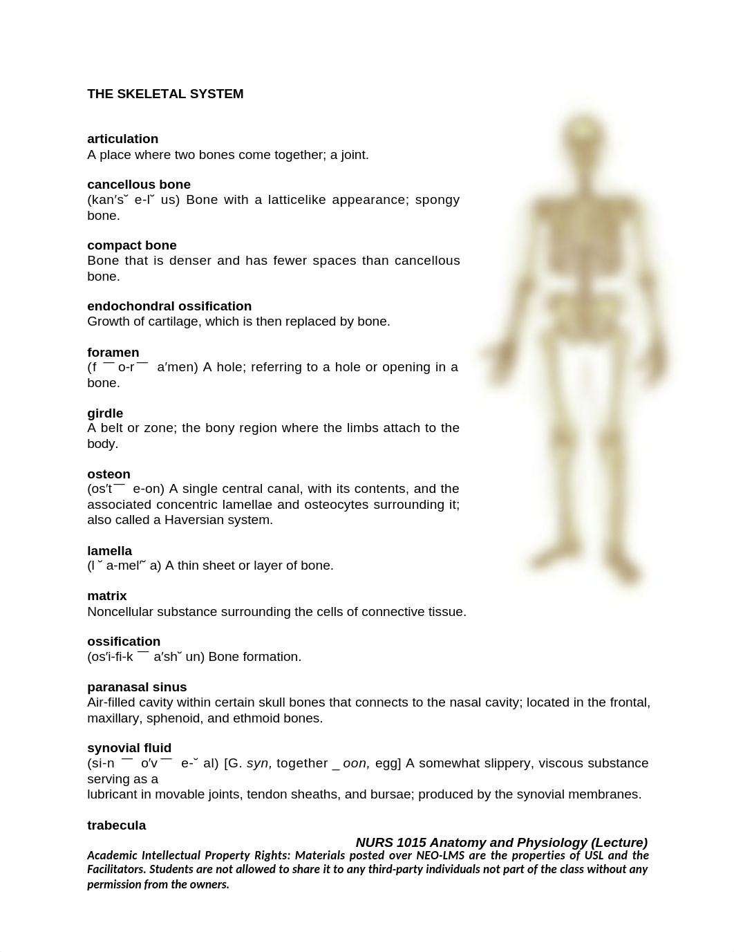 SKELETAL_SYSTEM.docx_da5pf61lzjl_page1