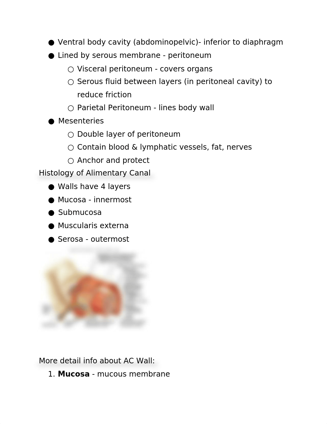 AP2 TEST 5.docx_da5rhos95o3_page3