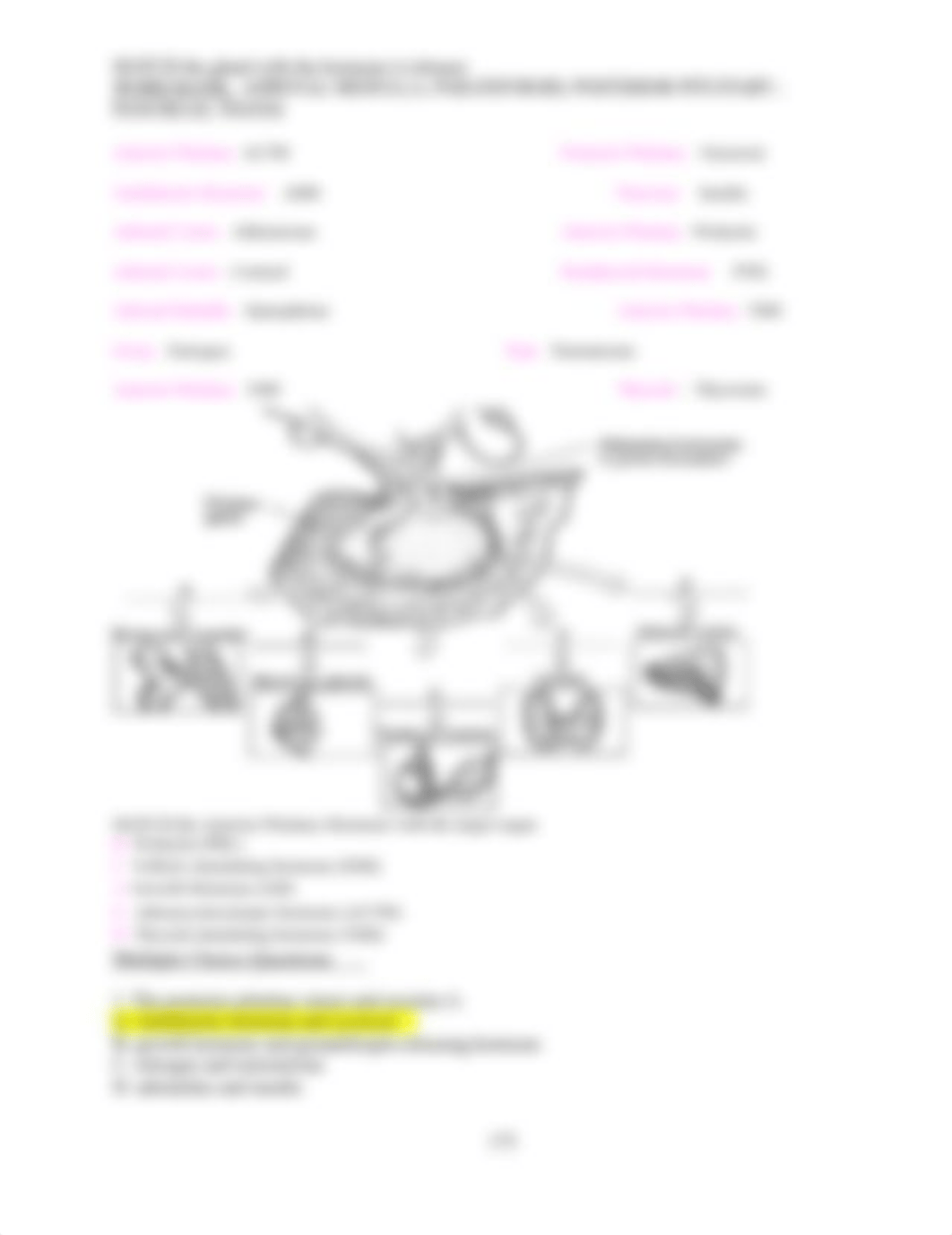 Endocrine Lab Questions.docx_da5sqp4cpcy_page2