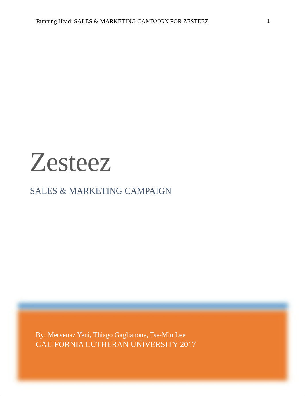 GROUP 1 ZESTEEZ SALES CAMPAIGN.docx_da69qw13sjr_page1