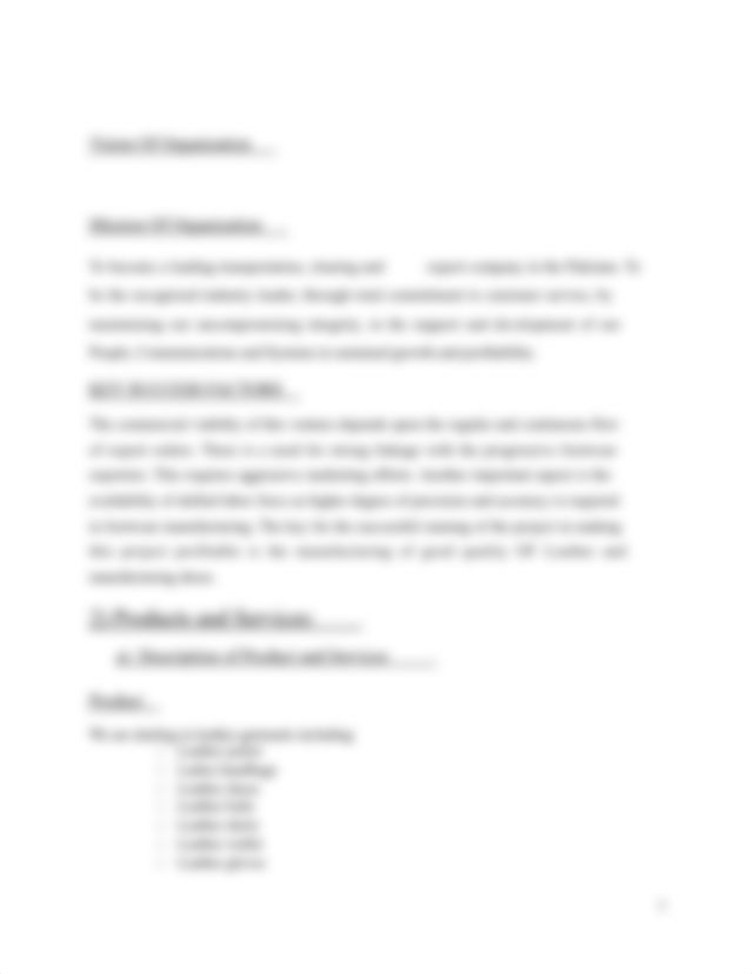 e-Commerce-Buisness-Plan.docx_da6hwfhn0nw_page5