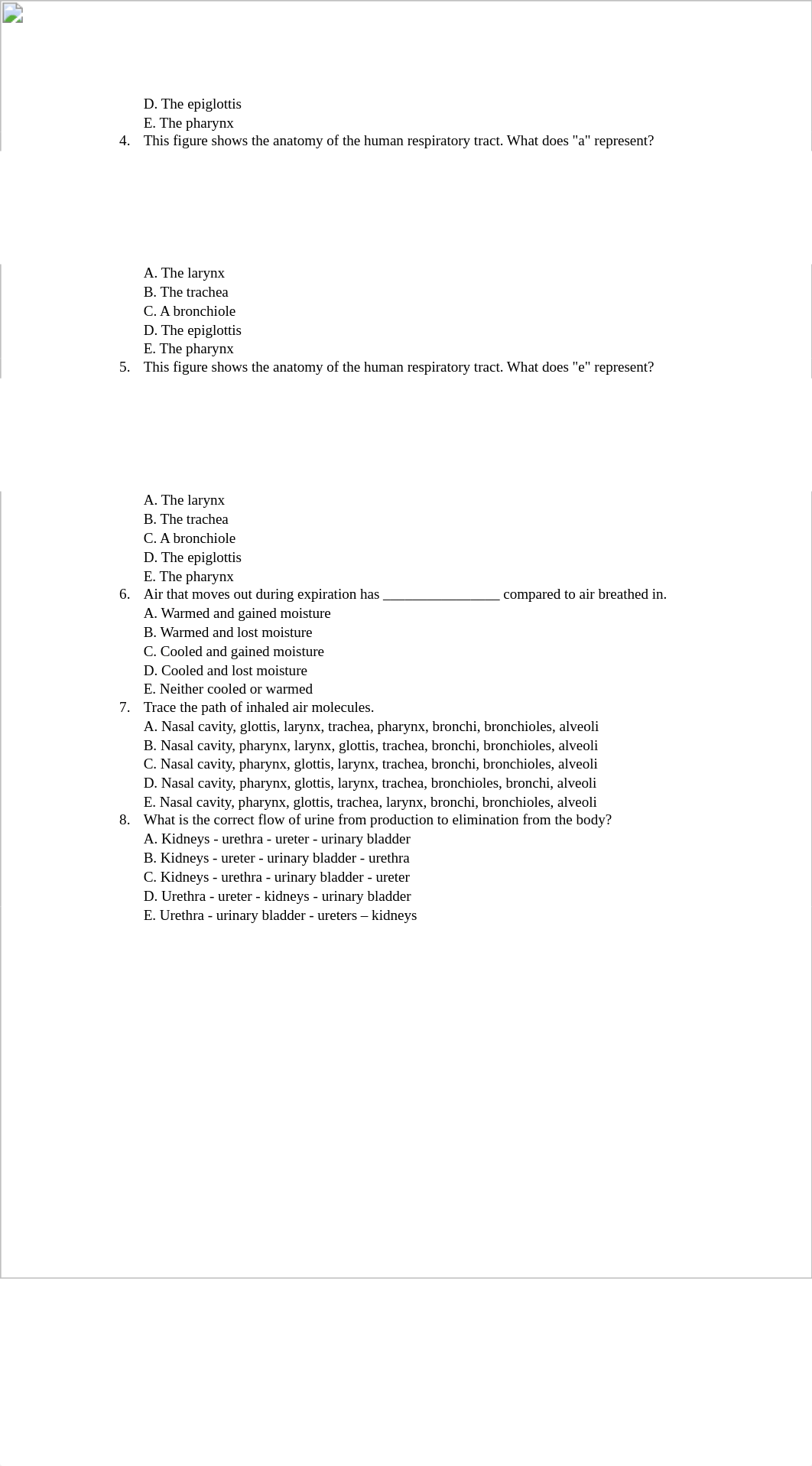 Exam 4 Review.docx_da6ivdrpk70_page2