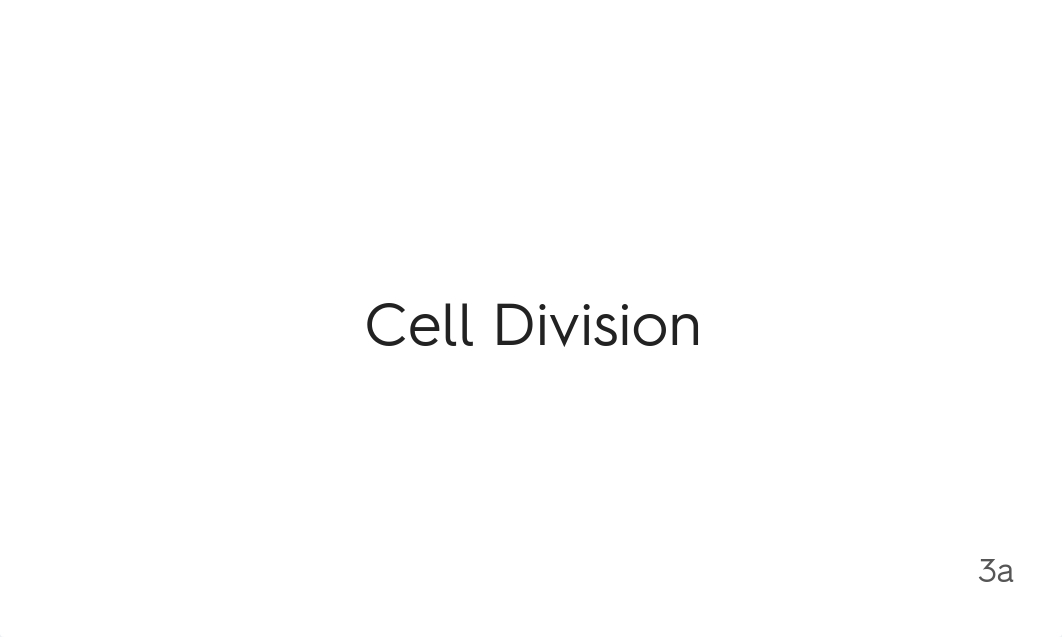 ANATOMY OF A CELL & CELL DIVISION.pdf_da6nggwkt5d_page5