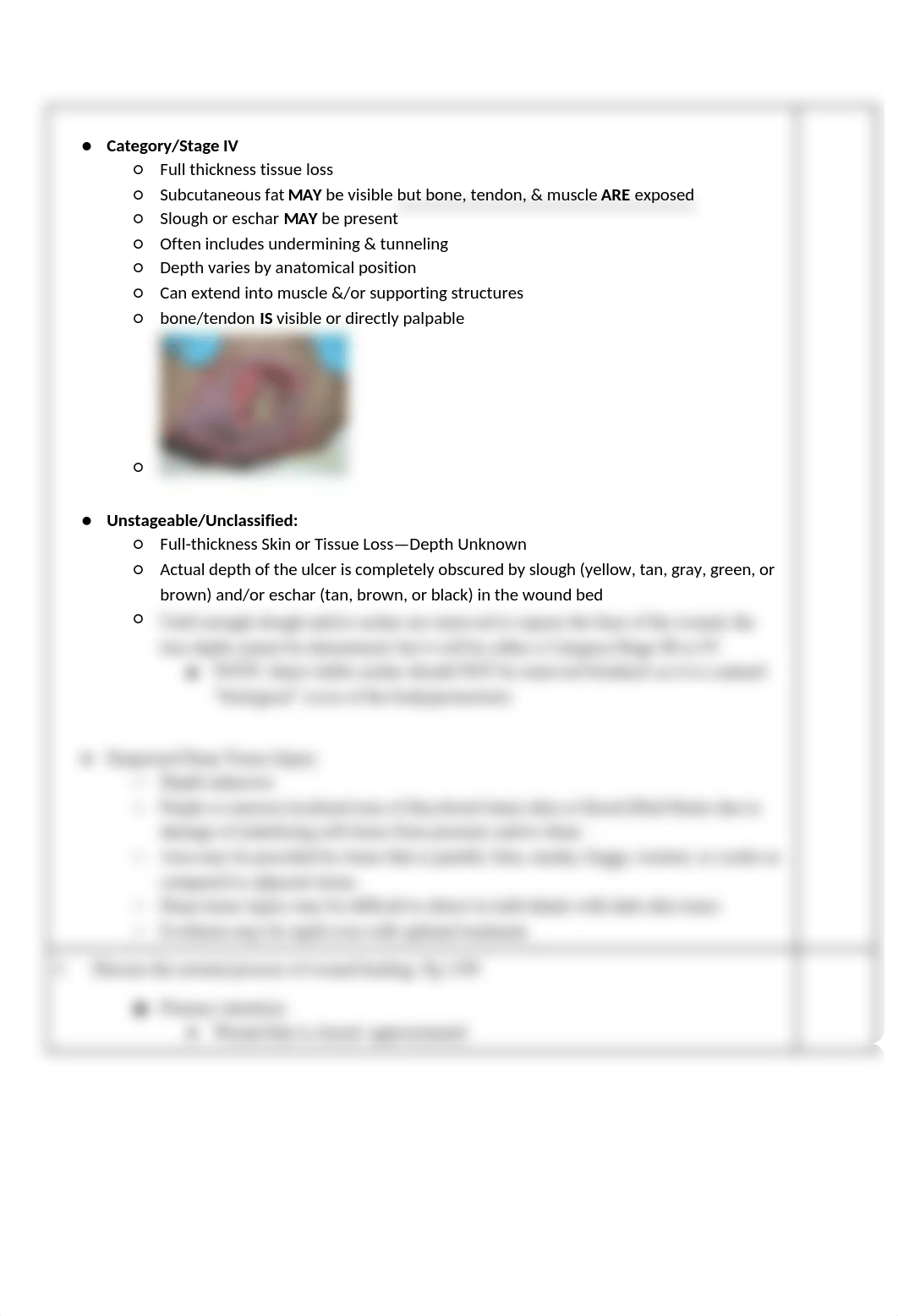 1216 exam 3.docx_da6ymdoohrd_page3