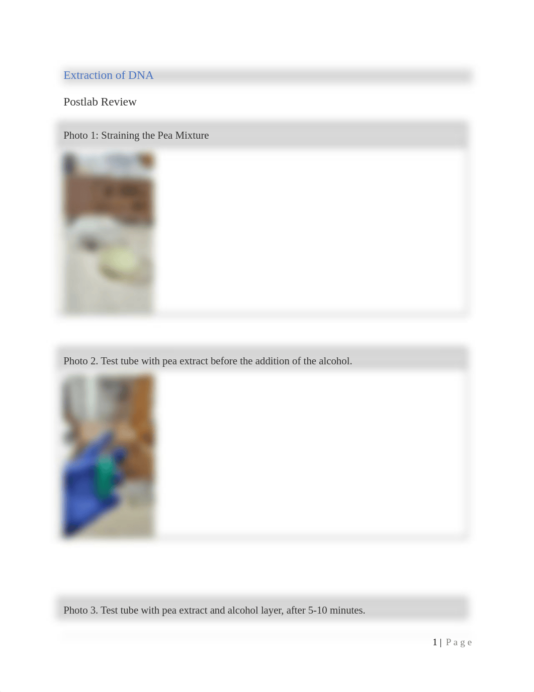 Extraction of DNA Postlab Review.docx_da75ai019a2_page1