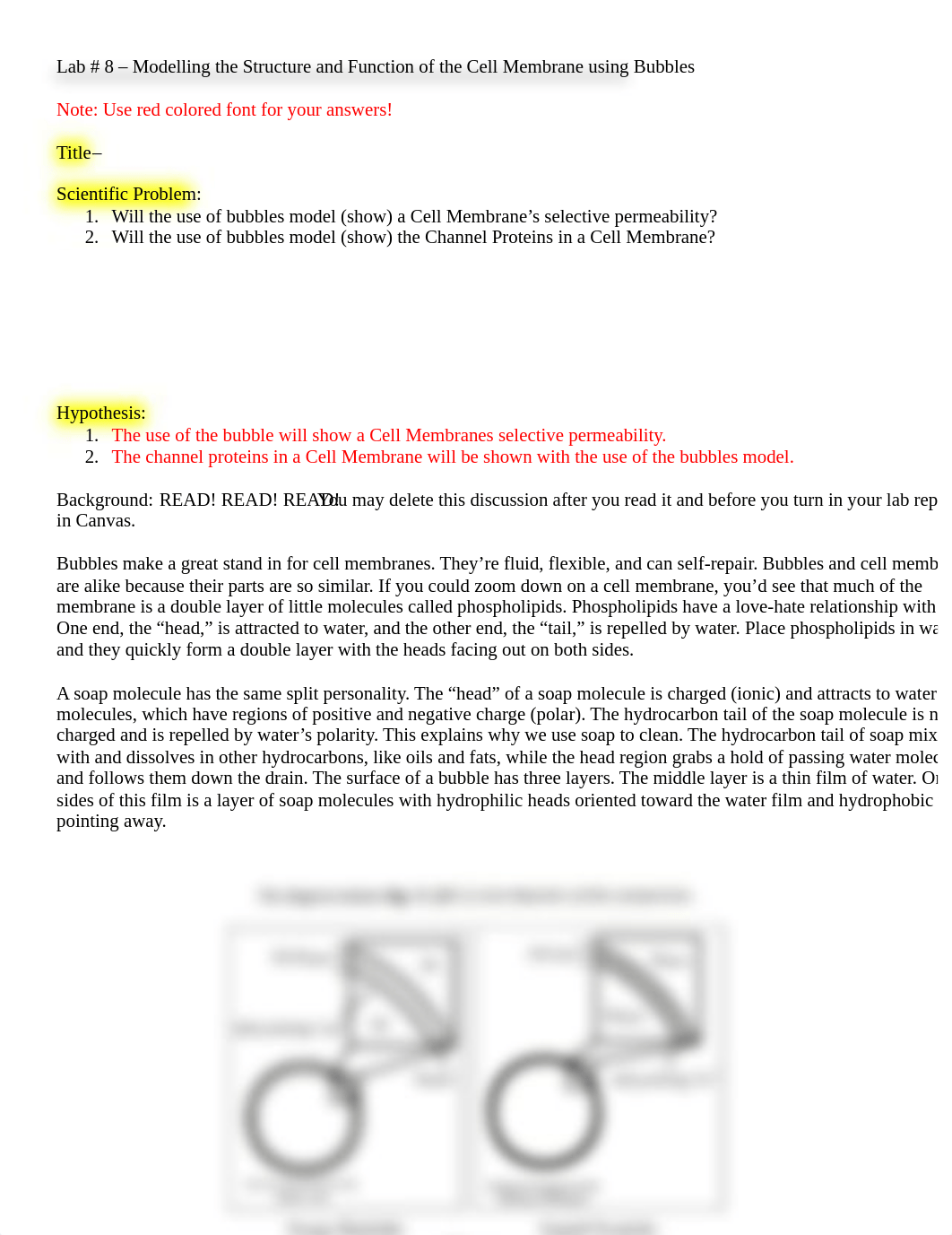 Lab # 8 - Cell Membrane Bubble Lab.pdf_da76xlmbdqz_page1