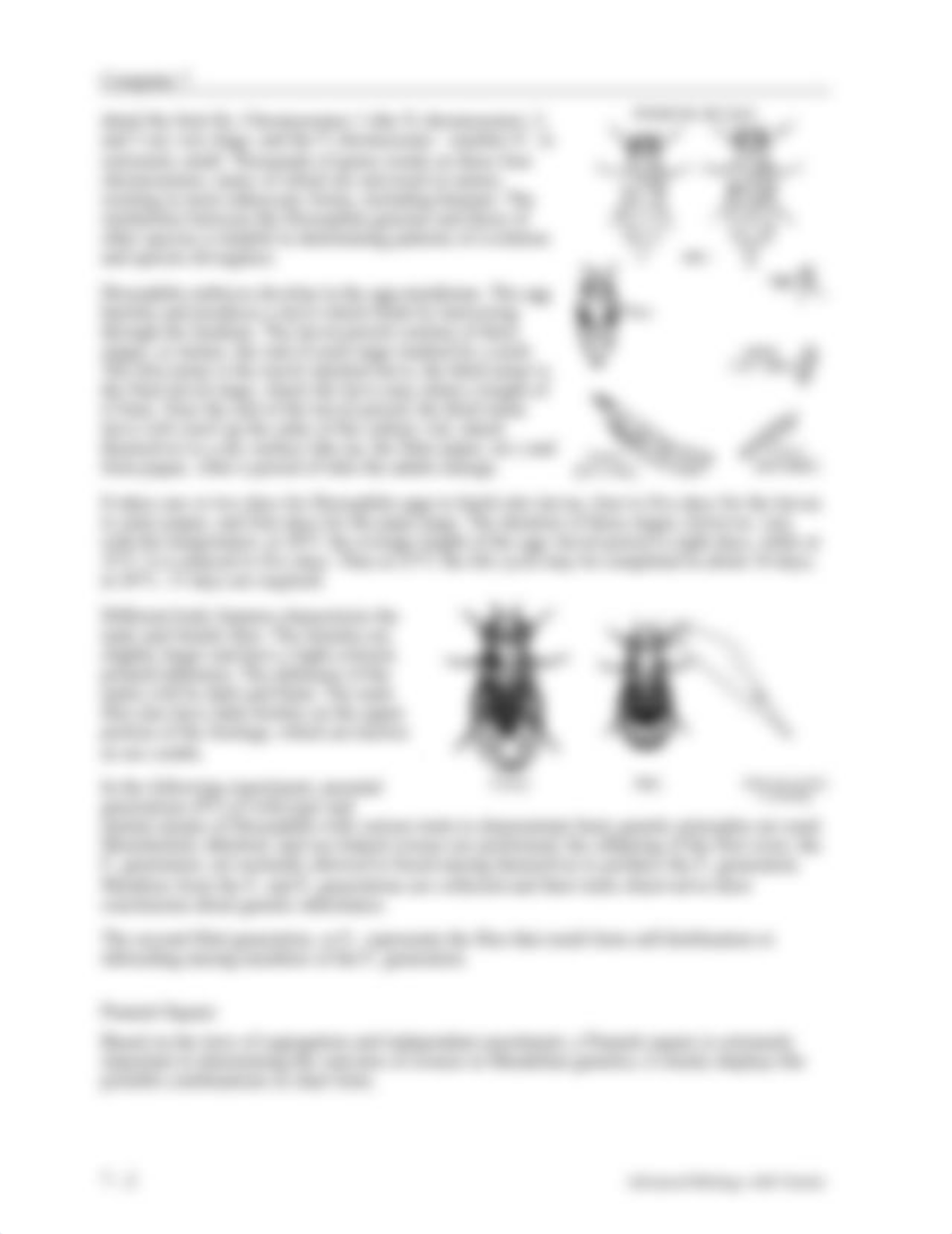 Week 7 Lab Genetics Drosophila BIO 212.doc_da7dkpamk1h_page2