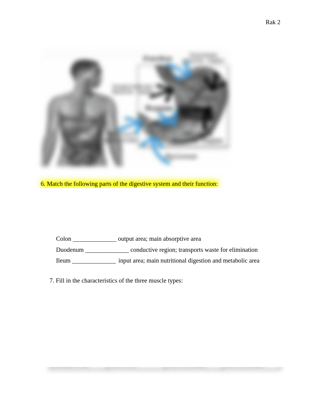 Anatomy IP Sheets.pdf_da7jw73ye09_page2