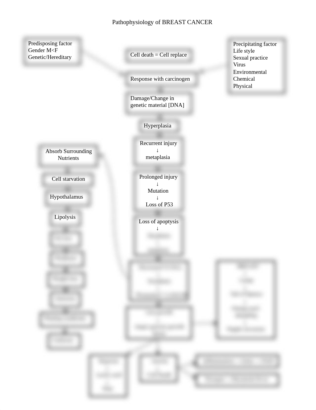 150926372-Pathophysiology-of-BREAST-CANCER.docx_da7k2it0dt0_page1