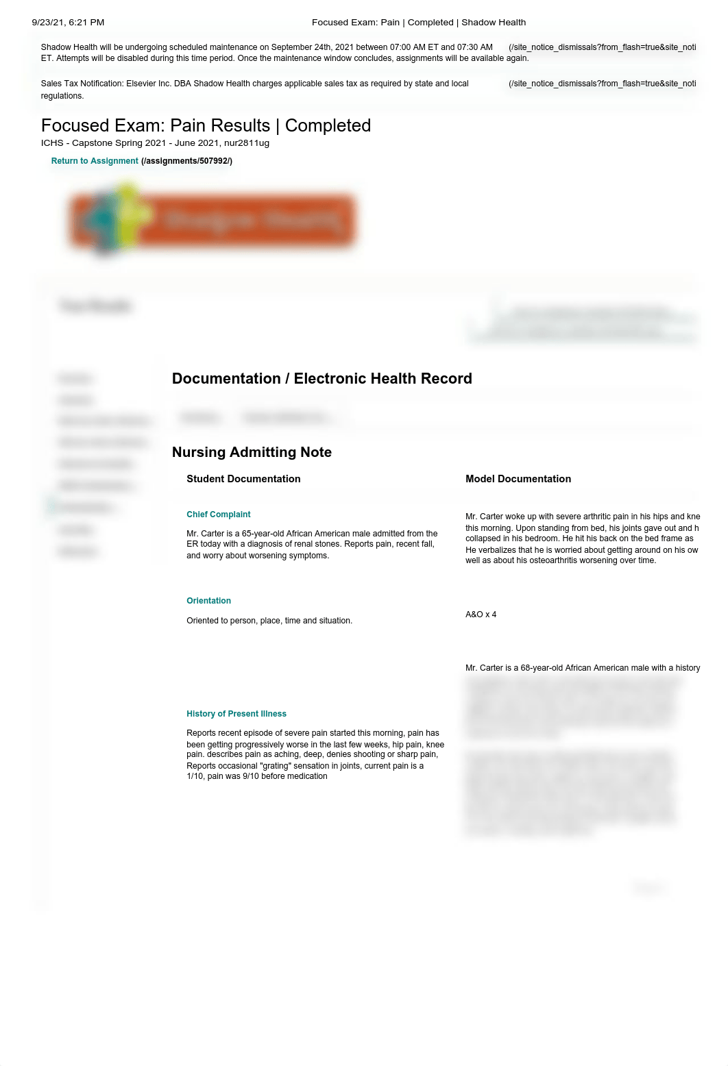Focused Exam Pain Results Completed - Edward Carter - Documentation - Nursing Admitting Note.pdf_da7l491fwzx_page1
