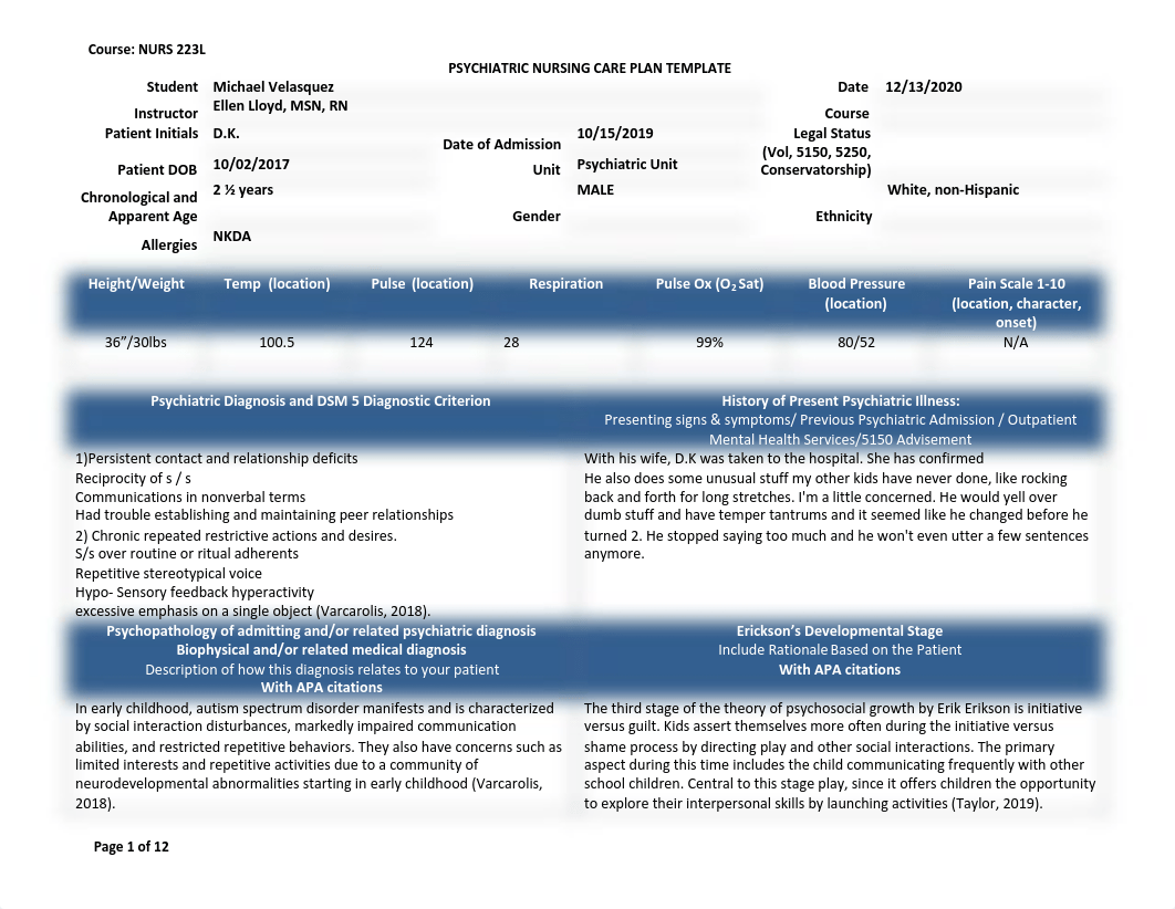 NURS 223L - Psychiatric Nursing Care Plan Template.pdf_da7mcn0d5zk_page1