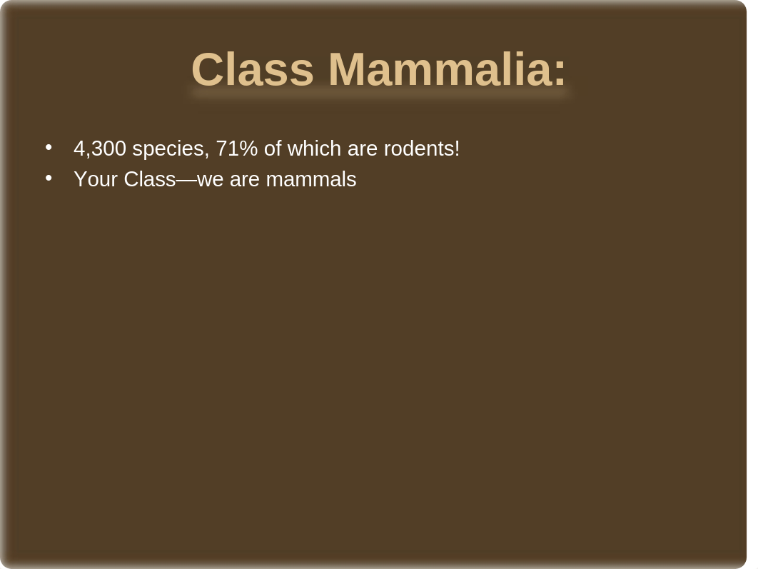 104Mammals Online.ppt_da7qddcg3kz_page1