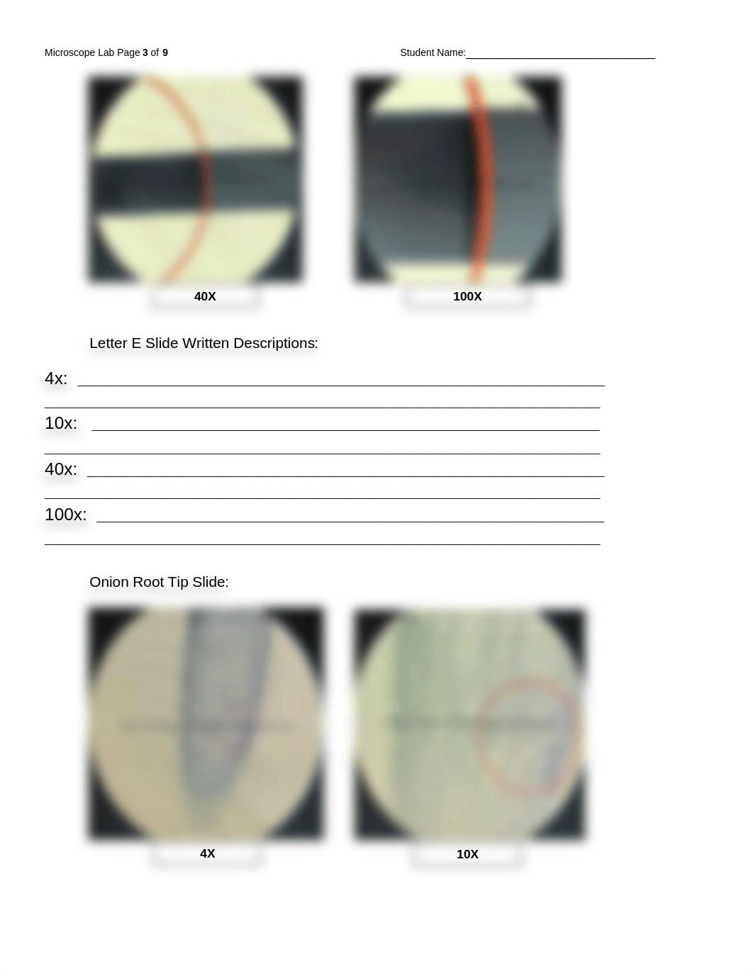 25 - Microscope_RPT.docx_da7ugoju75a_page3