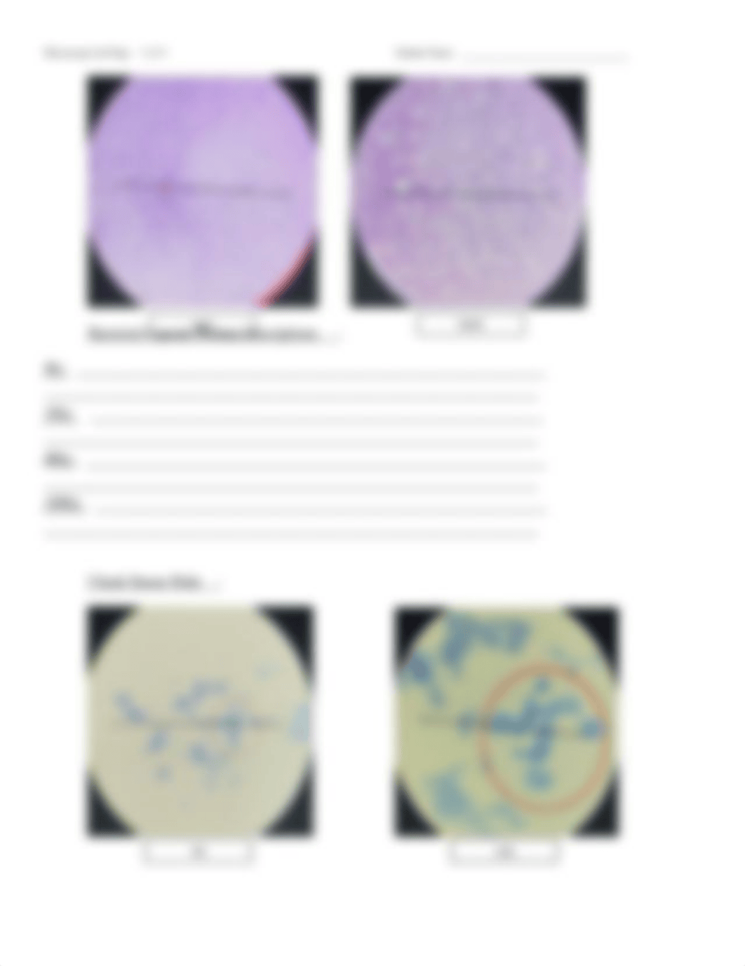 25 - Microscope_RPT.docx_da7ugoju75a_page5