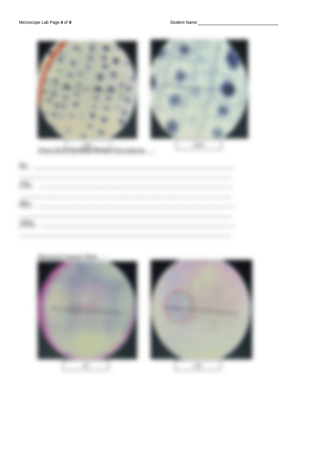 25 - Microscope_RPT.docx_da7ugoju75a_page4