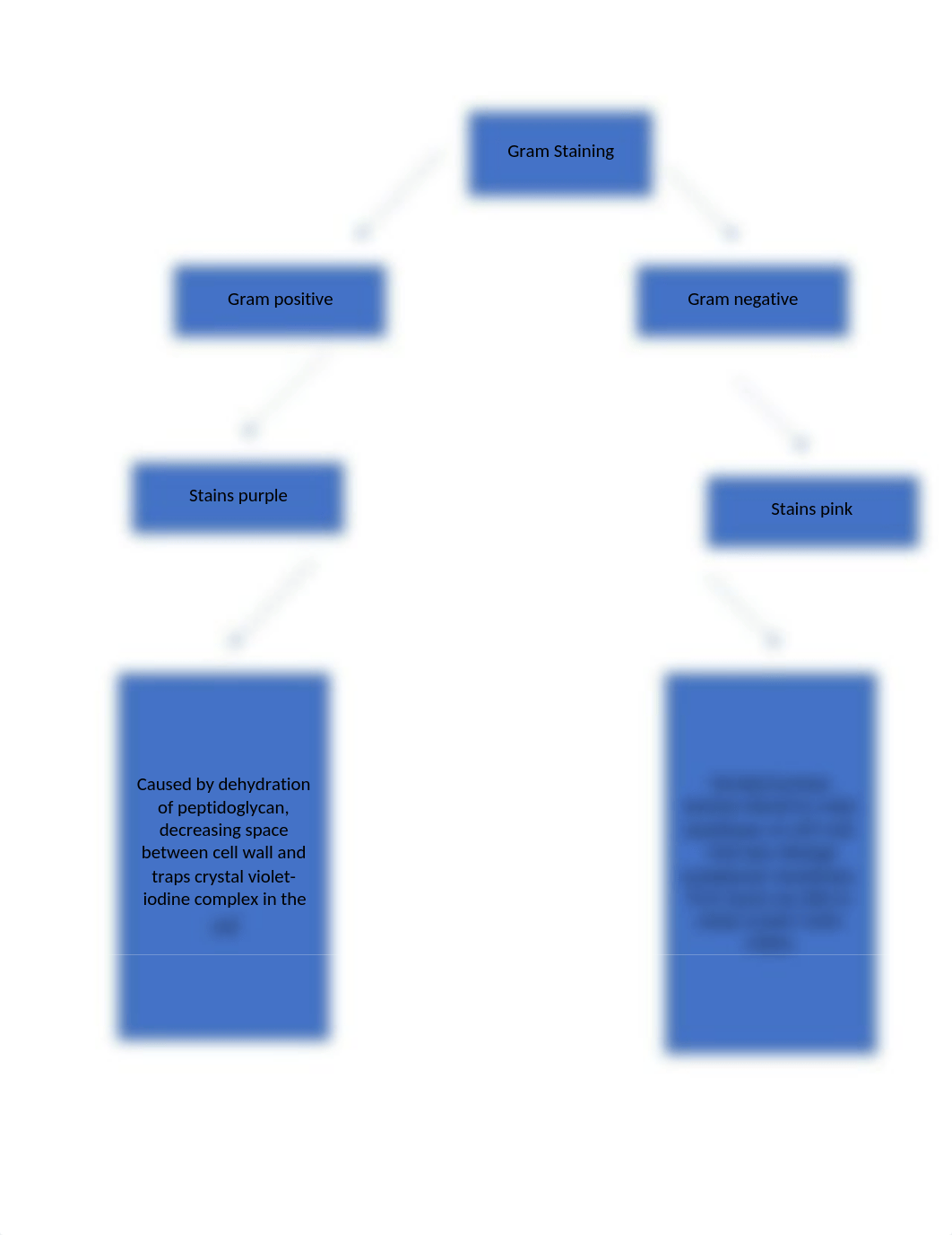 microbiological staining concept map.docx_da7xifya3rr_page1