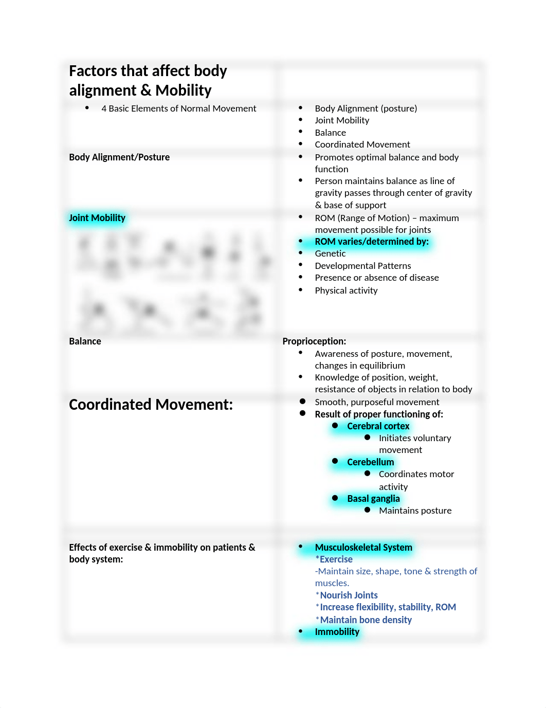 Mobility Notes.docx_da7zfbins92_page1