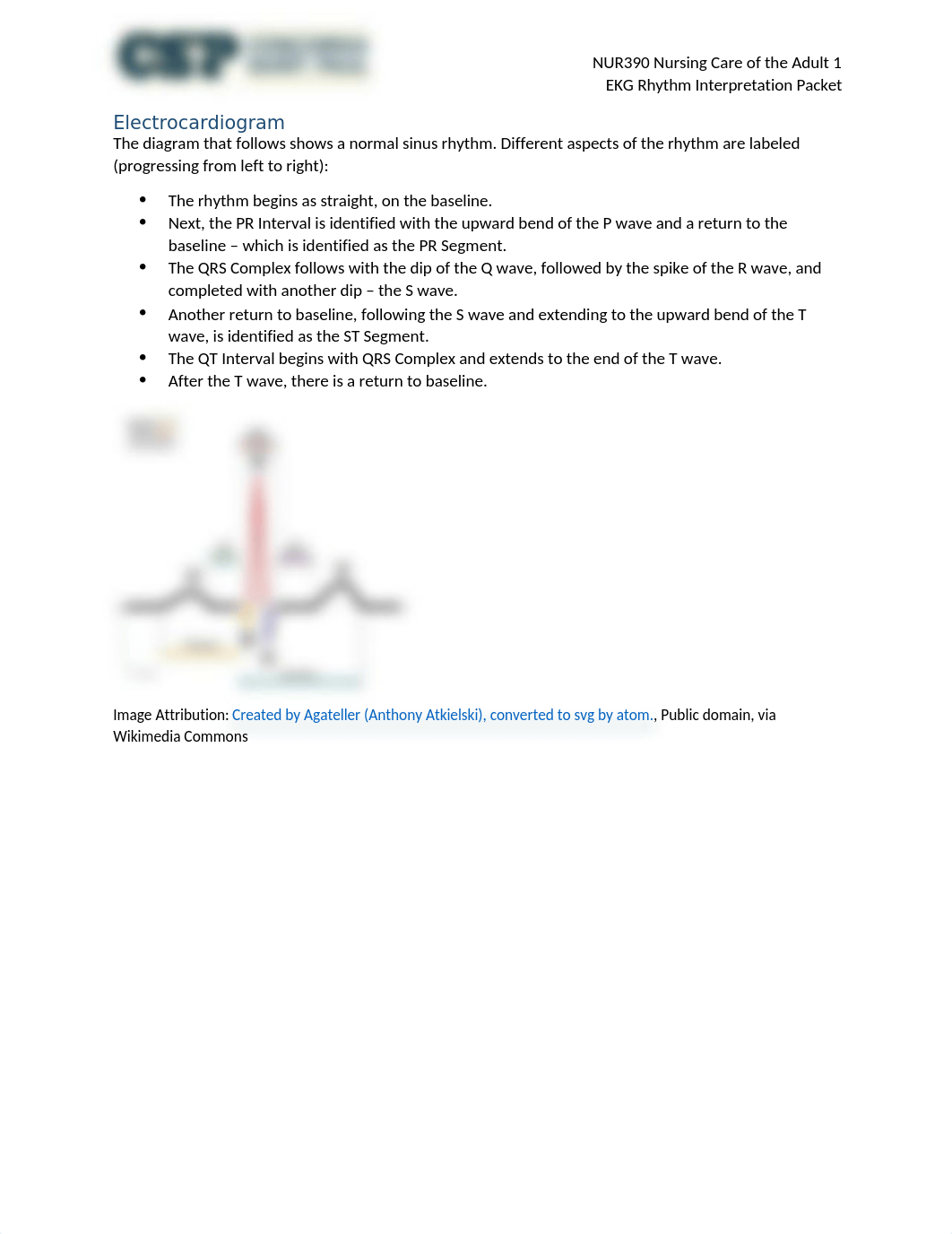 NUR390 EKG Rhythm Interpretation Packet.docx_da81dw0o2sz_page2