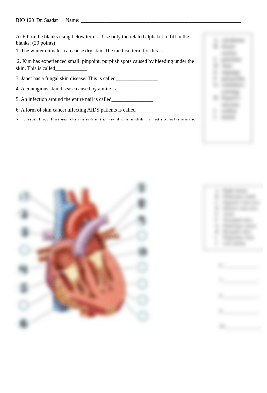 Midterm.docx_da83leitvc6_page1