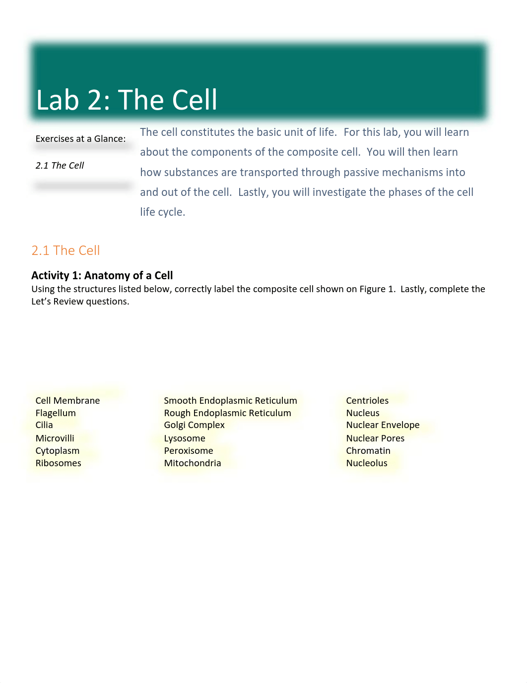 Lab+2_The+Cell.pdf_da8401nju6s_page1