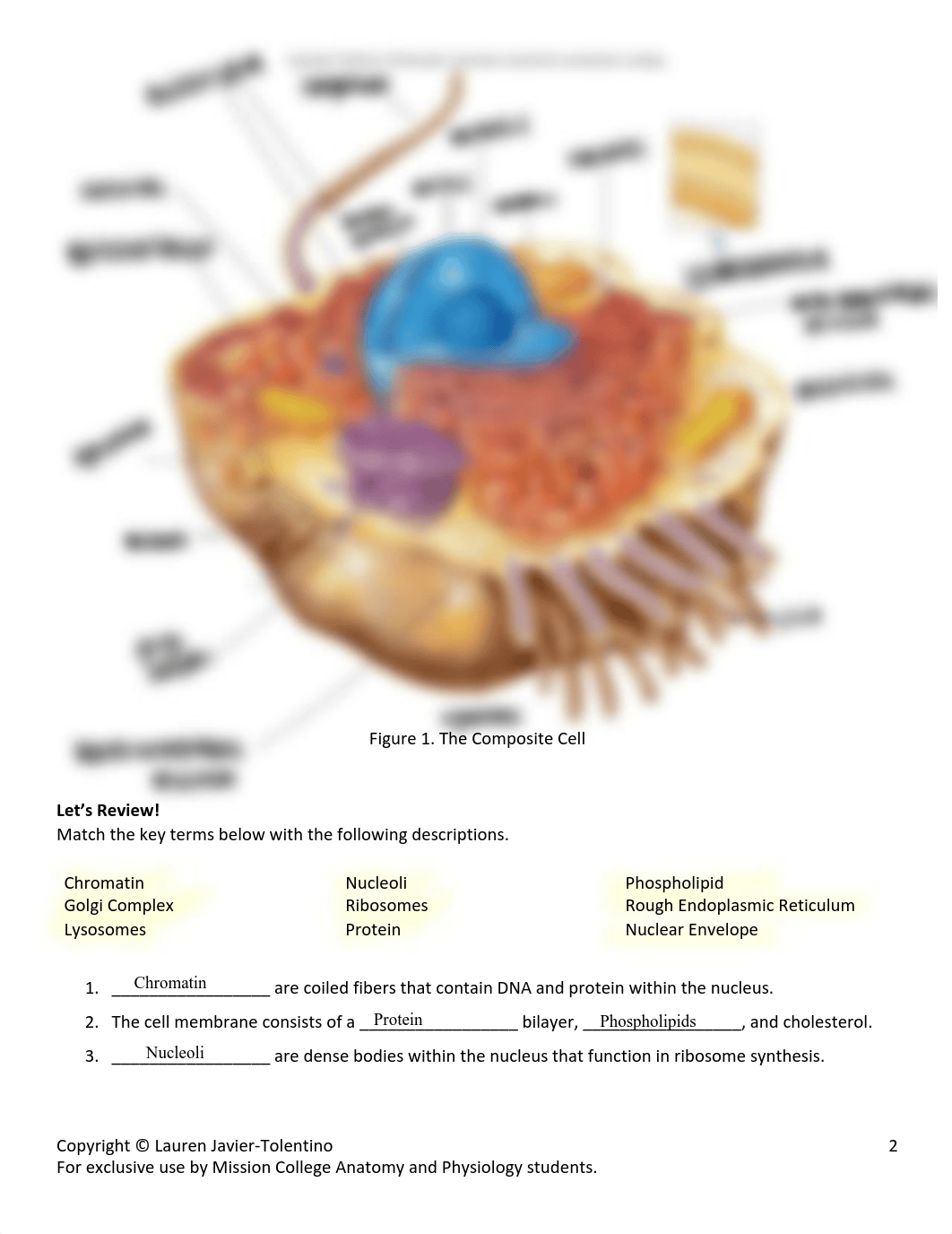 Lab+2_The+Cell.pdf_da8401nju6s_page2