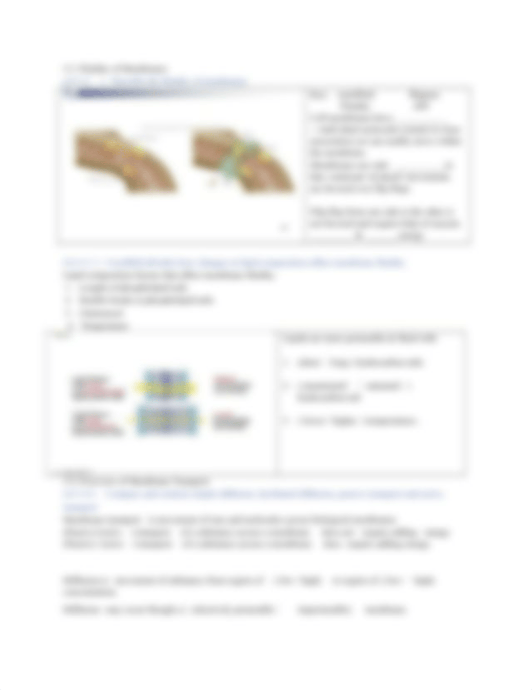 REISEDguide  5 Brooker 5th  membrane structure synthesis transport spring 20.docx_da84ayuebfa_page3