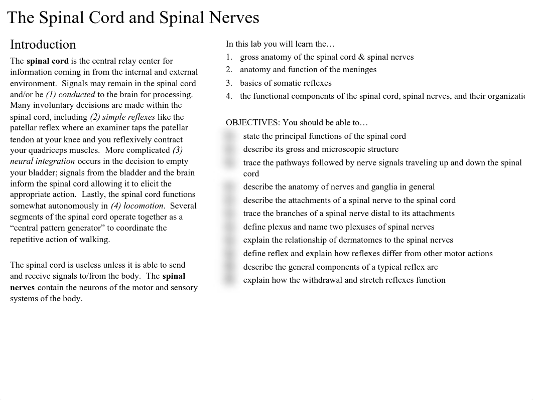 01 Spinal Cord and Nerves.pdf_da8a46sx6h5_page2