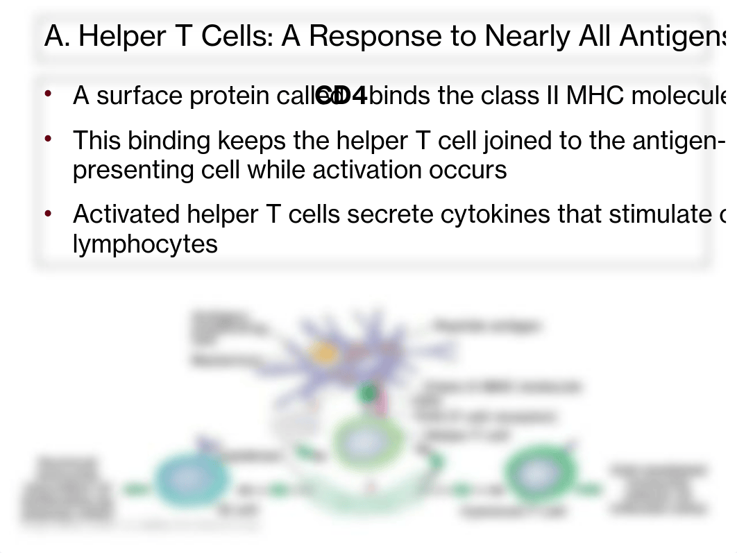 biol_119_lecture_13_10-2-09_da8aos8tmsb_page5