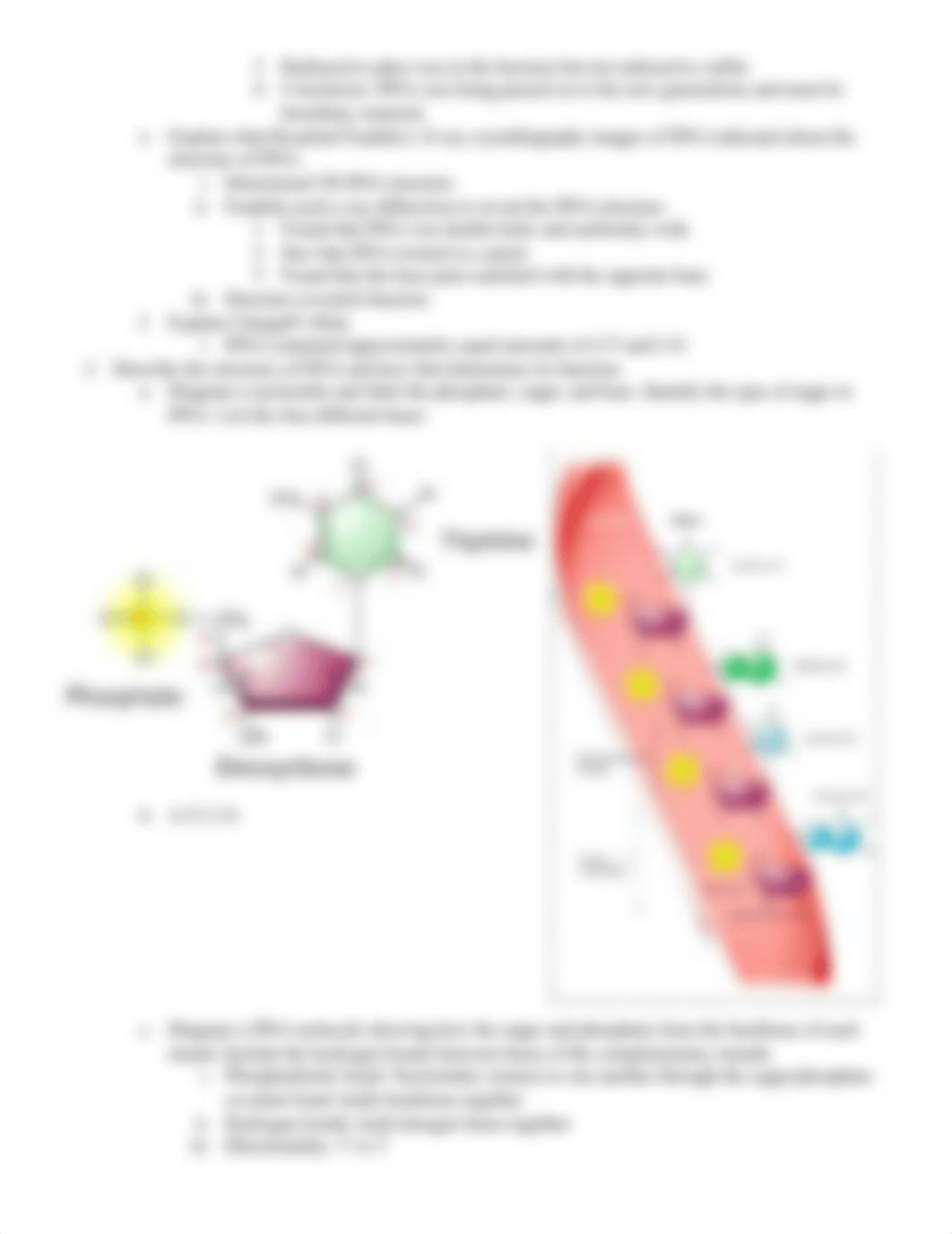 BIOL 1010 Final Review Study Guide 2.docx_da8e1k5is8s_page2