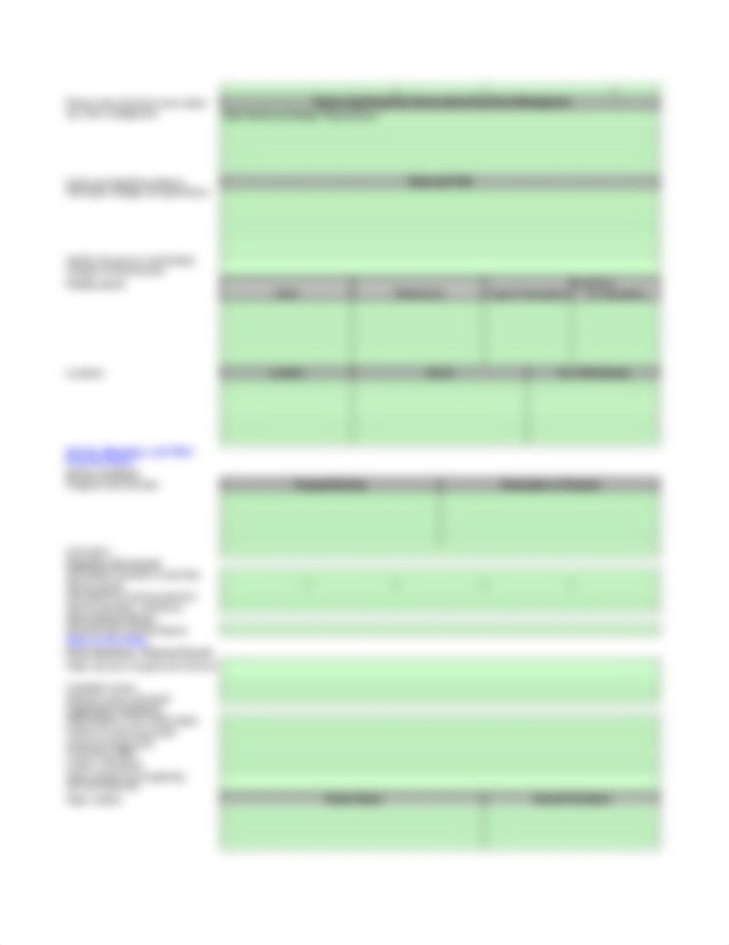 7. Audit Workpaper --  Understanding the Entity Form.xls_da8kyqwsj2t_page2