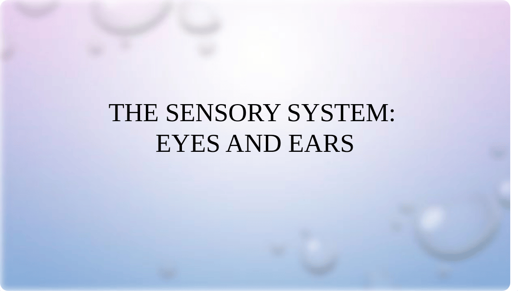 The sensory system_da8l8eksmsi_page1