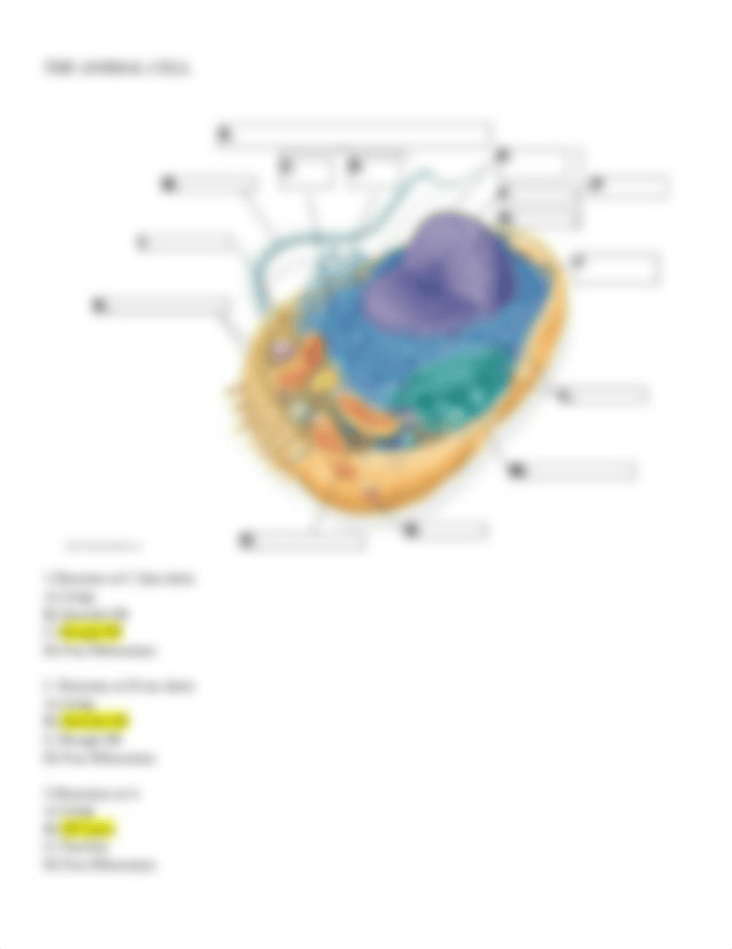 Assignment and Quiz 4 chapter 4.pdf_da8ovl8i05r_page4