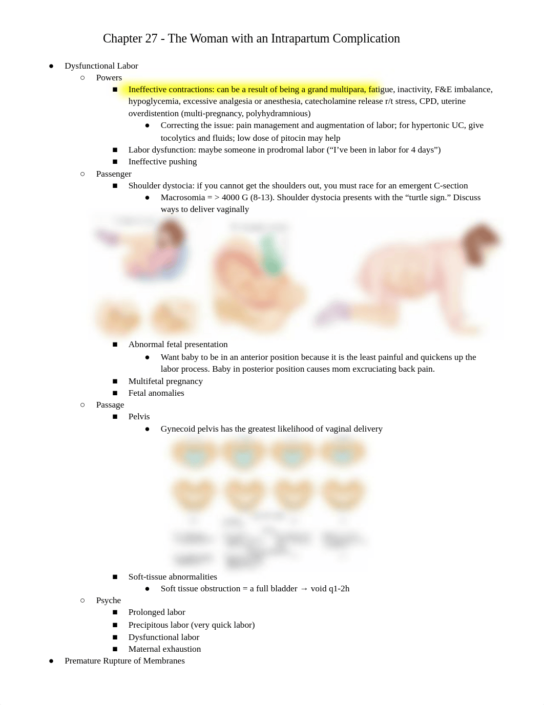 Chapter 27 - The Woman with an Intrapartum Complication.docx_da8riycv78h_page1