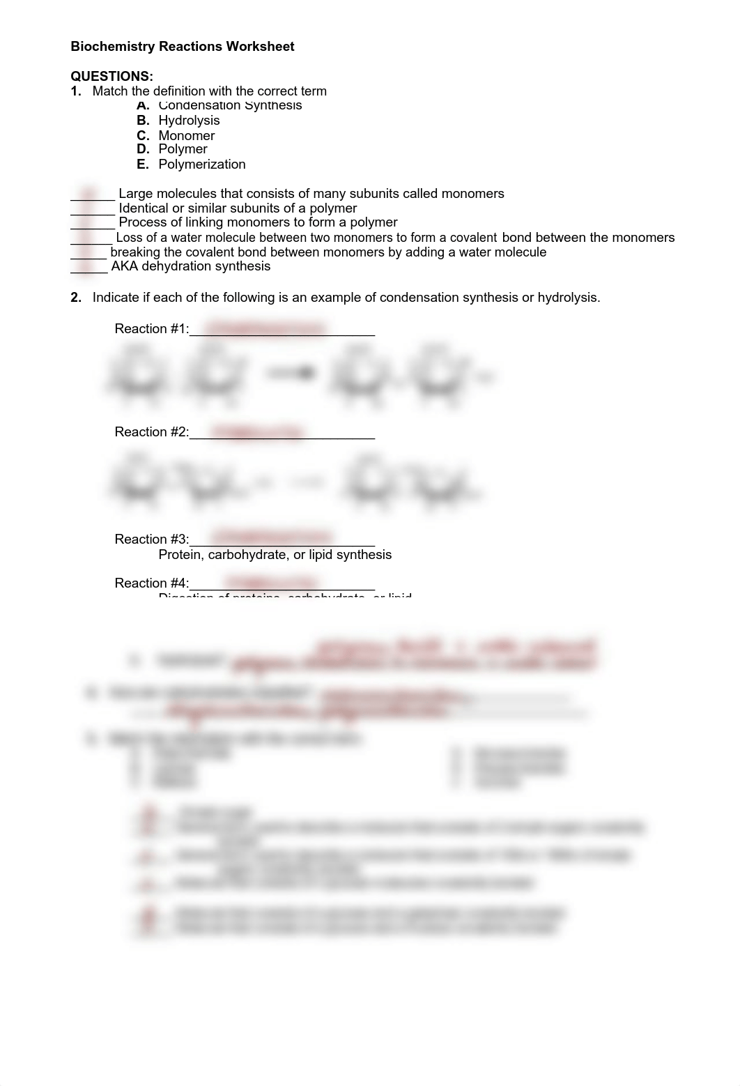 Carbo.Biochemistry_Reactions_WS.pdf_da8vopt23hh_page1