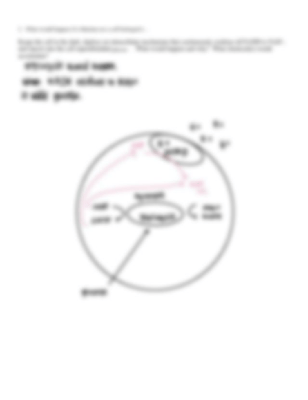 Photosynthesis+HW2_SP2021.pdf_da8z1p8ylad_page2