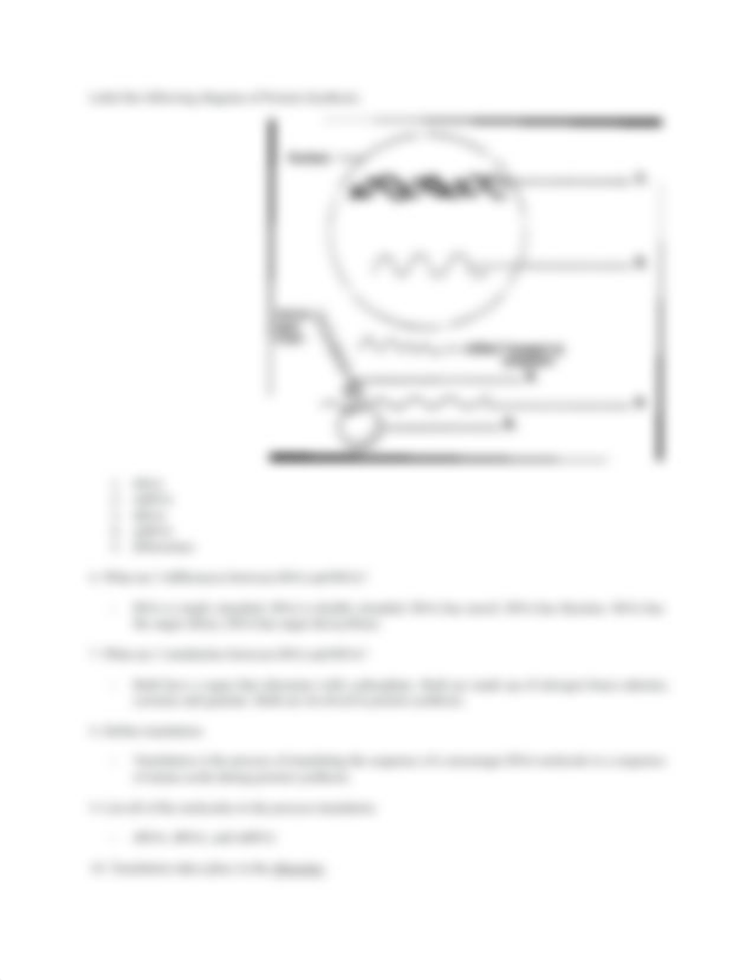 Protein_synthesis_da974nxrj2l_page3