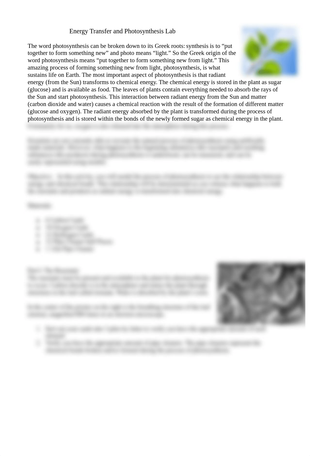 Energy Transfer and Photosynthesis Lab.pdf_da99ip3h3v6_page1