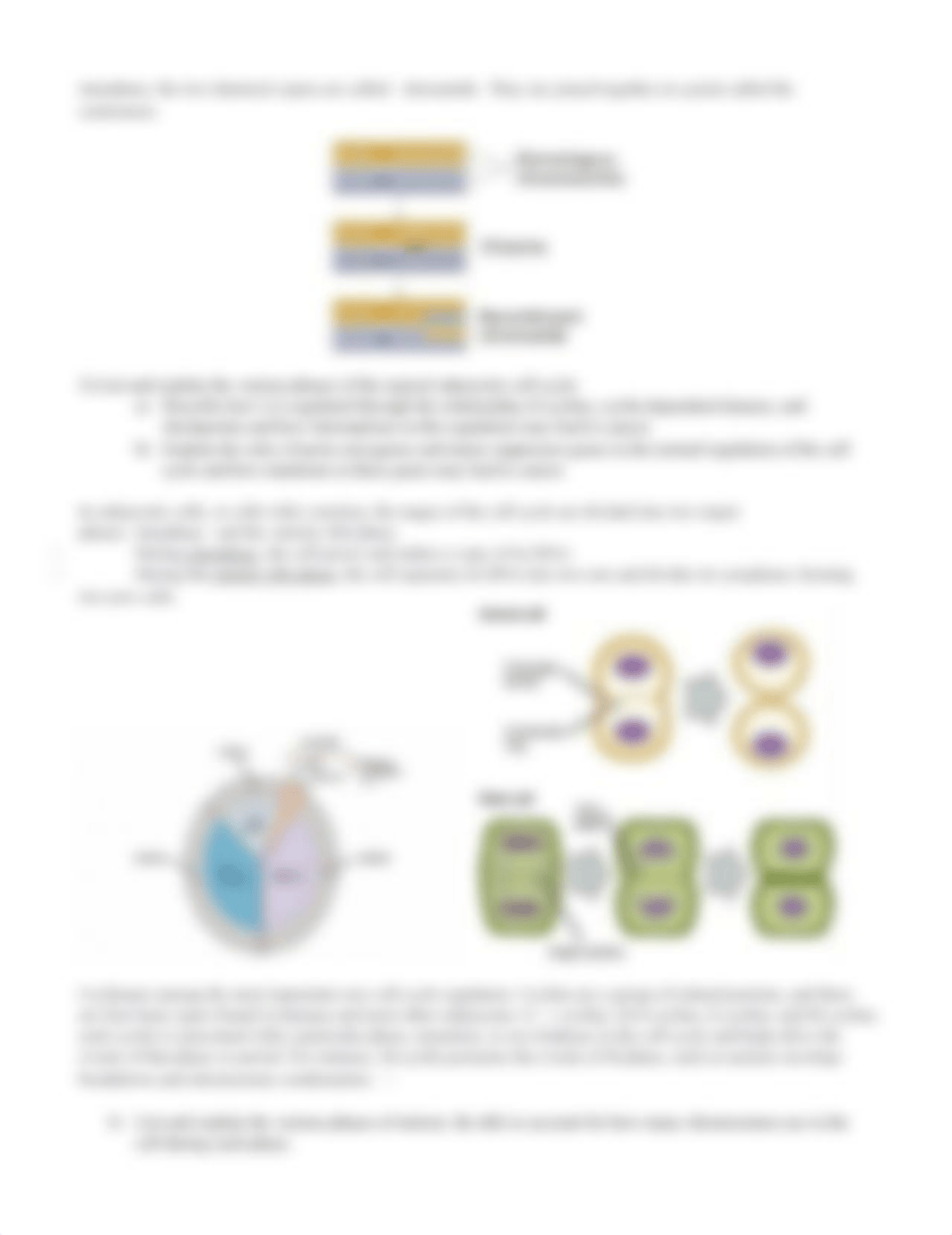 Chapter+11+and+12.doc_da9a293sn5y_page2