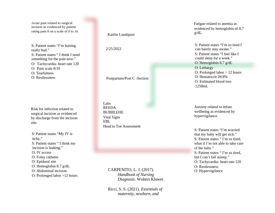 Final Clinical packet- Mother.docx_daa48mx75as_page2