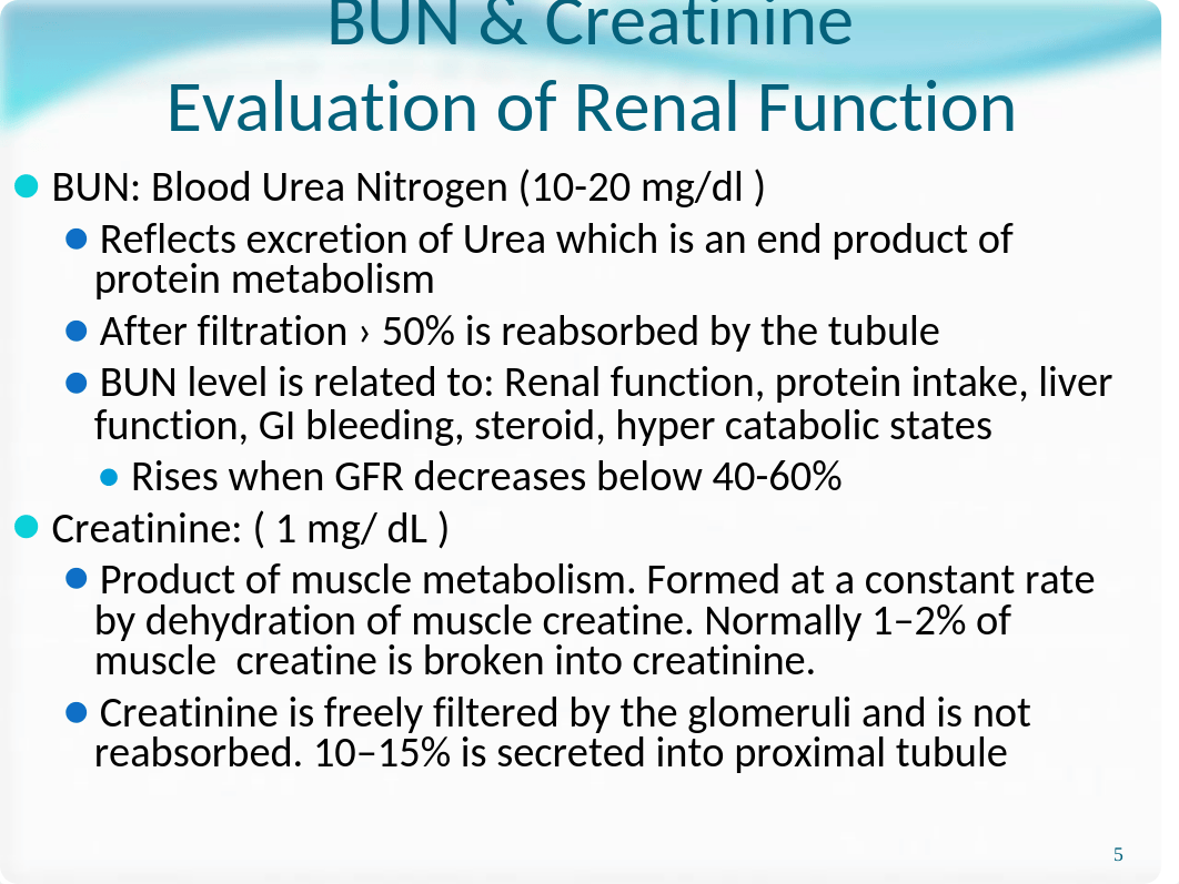 ACUTE KIDNEY INJURY for class.ppt_daabu0084dz_page5